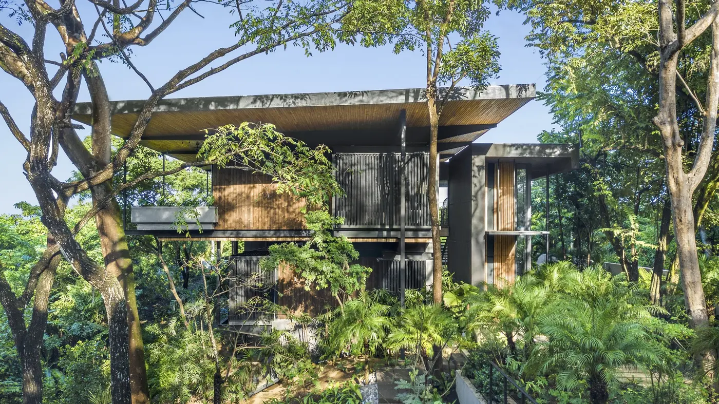 Raintree House, a project by Studio Saxe